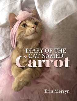 Diary of the Cat Named Carrot